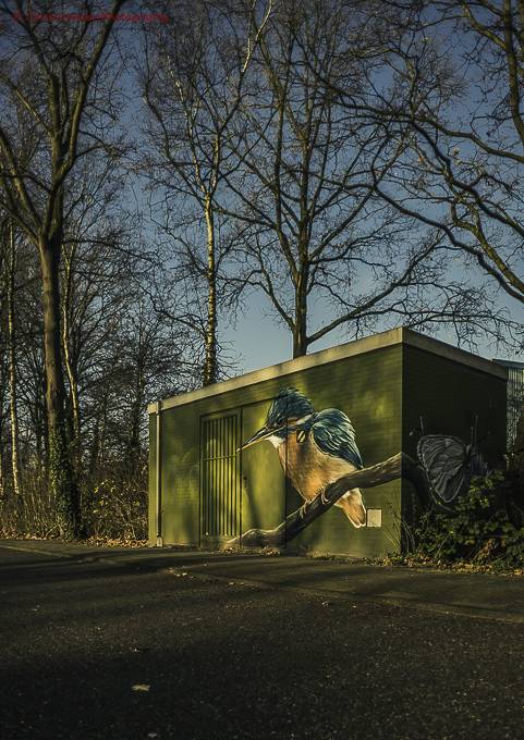Graffiti