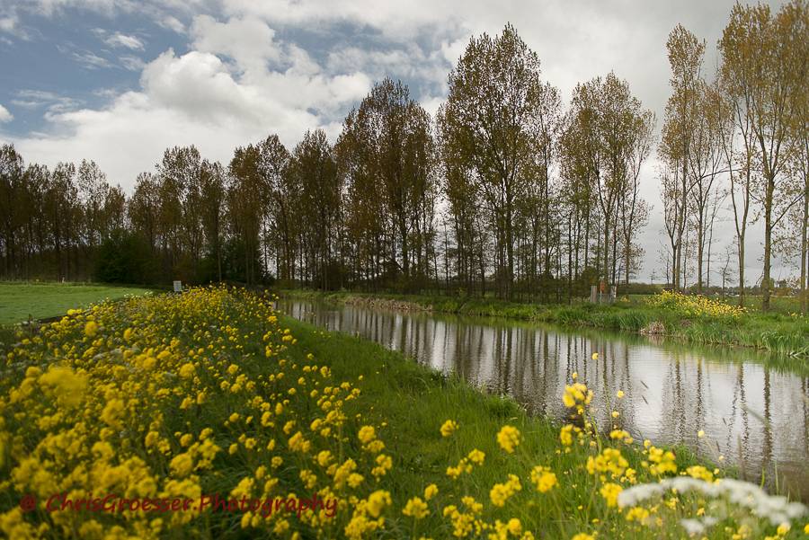 Bomenrij bij Weipoortse vliet