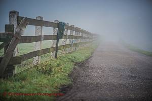 Landschappen/Hek-bij-spookverlaat-in-mist.jpg